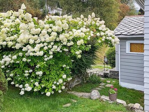 独立别墅 | 外观