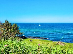 A coastal landscape with a clear view of the ocean, a grassy area, and a small sailboat in the distance. - 6 Person Holiday Home in Gilleleje (Gilleleje)
