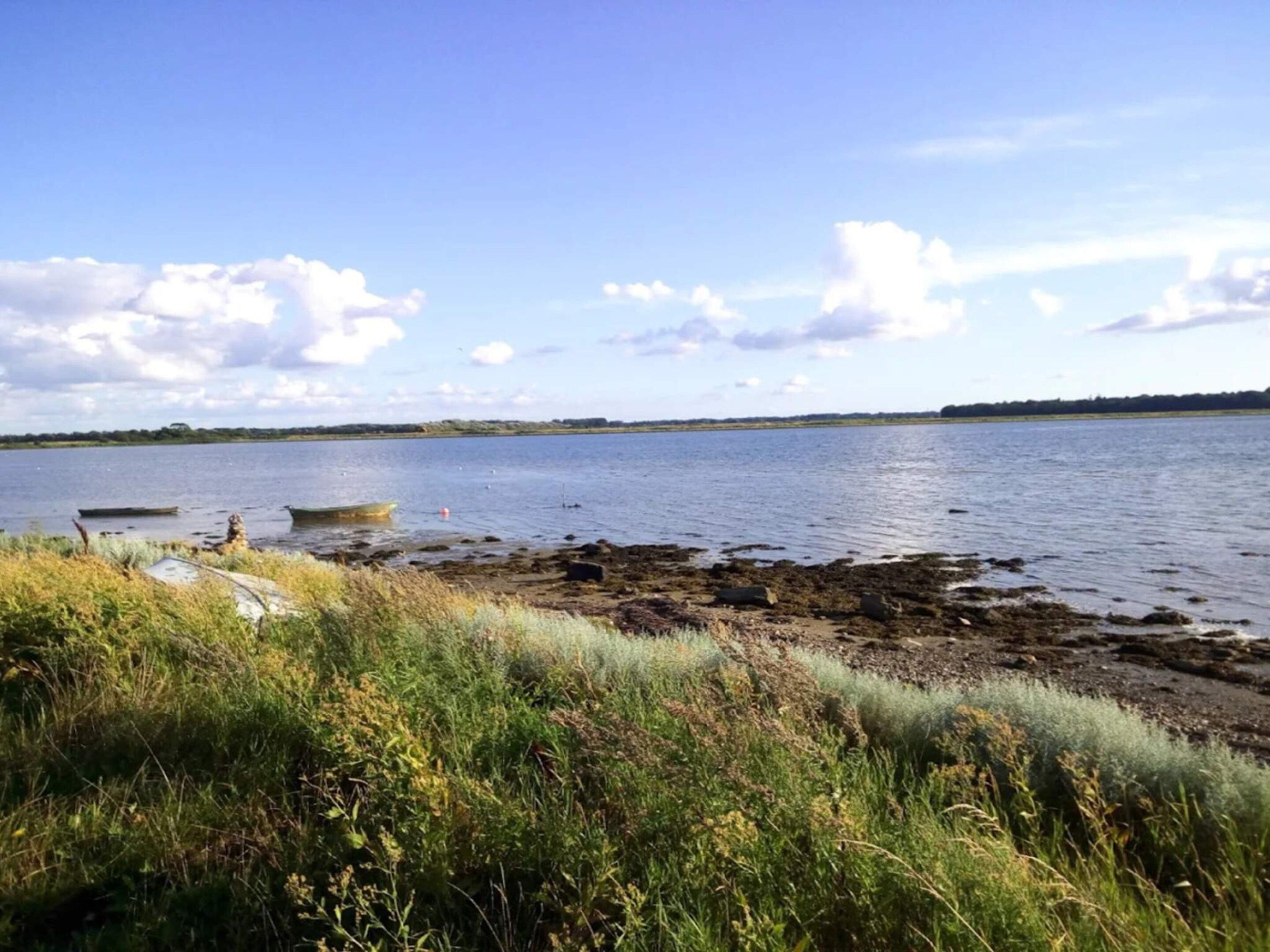 Un paysage naturel comprenant une étendue d’eau, des bateaux et une rive herbeuse.