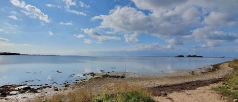 A coastal landscape with a clear sky, calm water, and a dirt path leading to the shore.