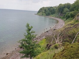 A coastal landscape with a rocky shoreline, a small tree, and dense greenery.