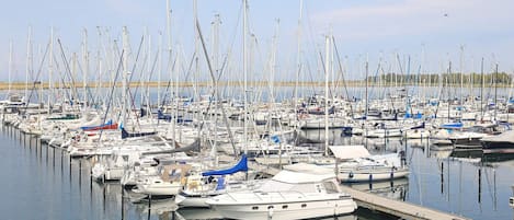 A marina with numerous boats docked in calm waters.