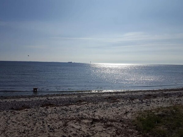 A beach with a sandy shore, a calm sea, and a distant ship.