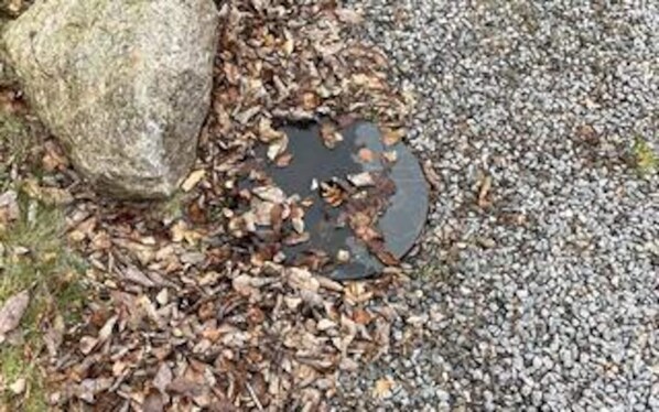 A gravel surface with scattered leaves and a large rock. - 10 Person Holiday Home in Vaeggerlose (Vaeggerlose)