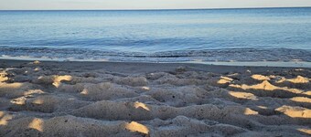 บ้านพักส่วนตัวให้เช่า สำหรับ 10 คน ใน Vaeggerlose