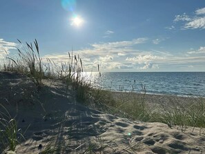 A beach with sand dunes and grasses, a clear sky, and the ocean.