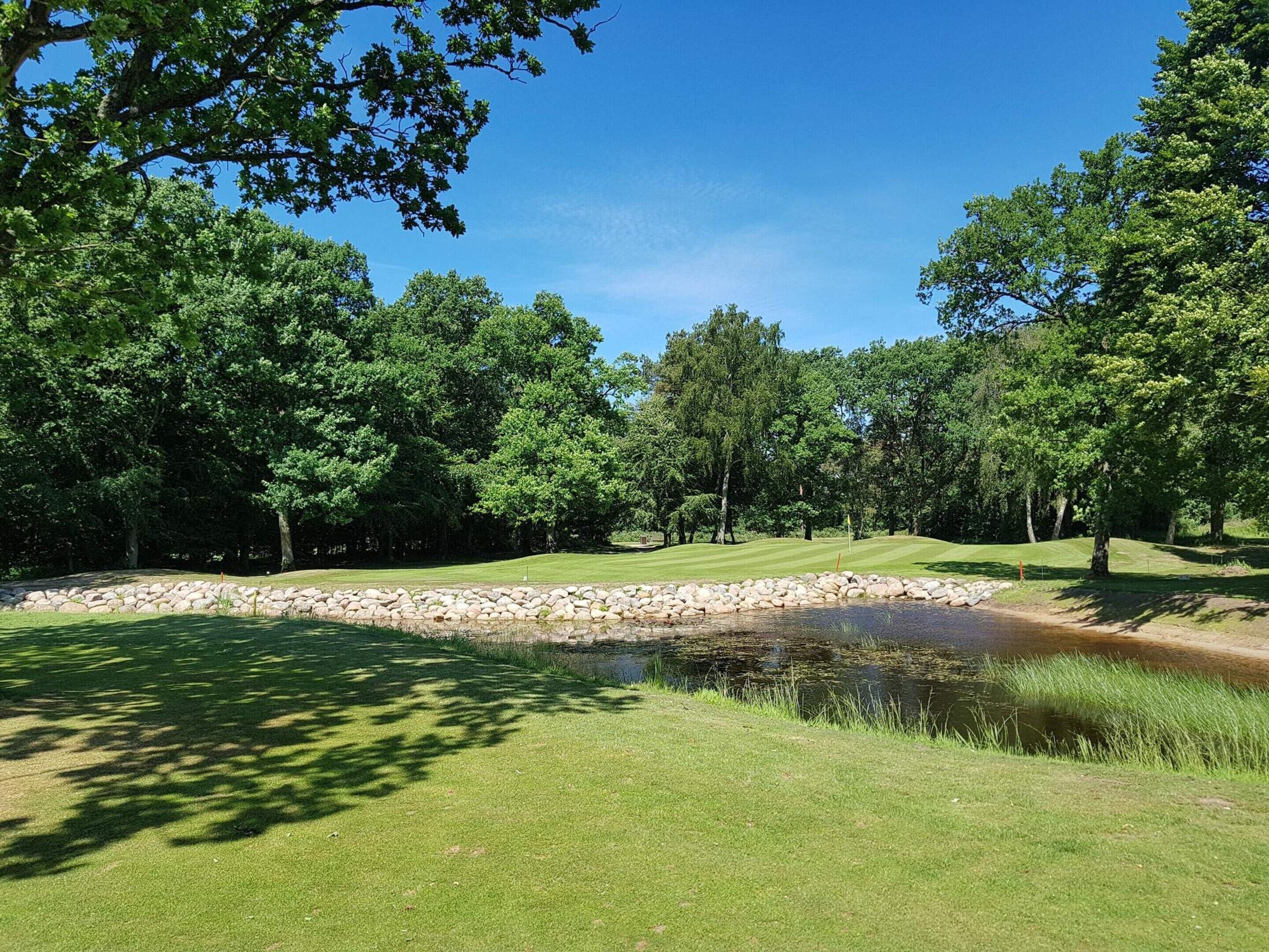A golf course with a pond, trees, and a clear sky.