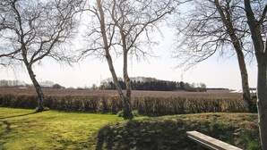 A grassy area with trees and a wooden bench. - 4 Person Holiday Home in Jaegerspris (Jægerspris)