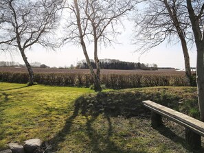 A grassy area with trees and a wooden bench. - 4 Person Holiday Home in Jaegerspris (Jægerspris)