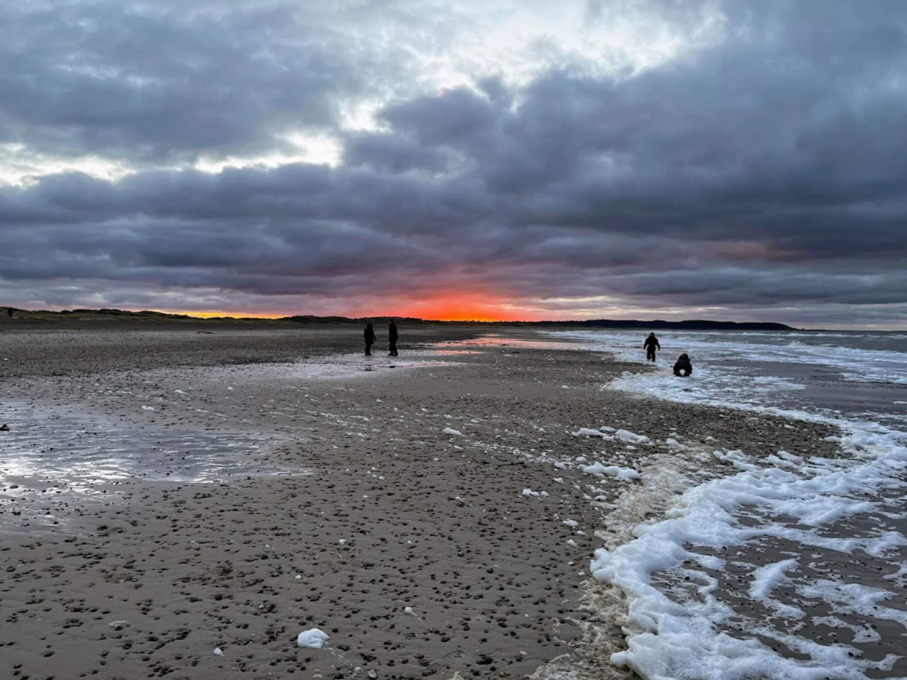 A beach with a sunset in the background, sandy shore, and a few people walking.