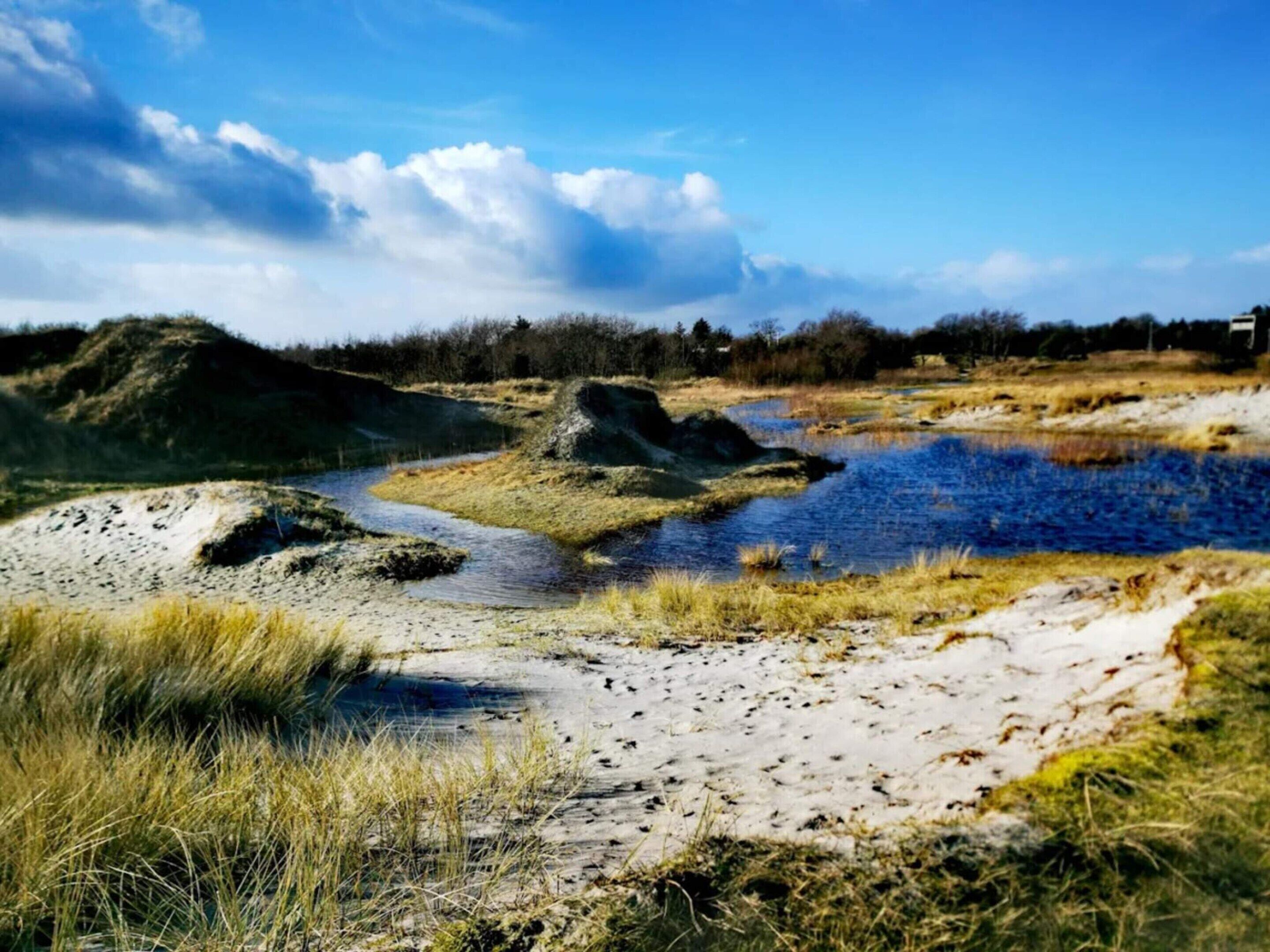 A natural landscape with a river, sandy areas, and grassy terrain.