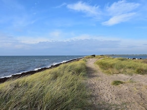 A coastal path with grass and a sandy beach leading to the sea. - 10 Person Holiday Home in Dannemare (Dannemare)