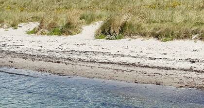 10 Person Holiday Home in Dannemare