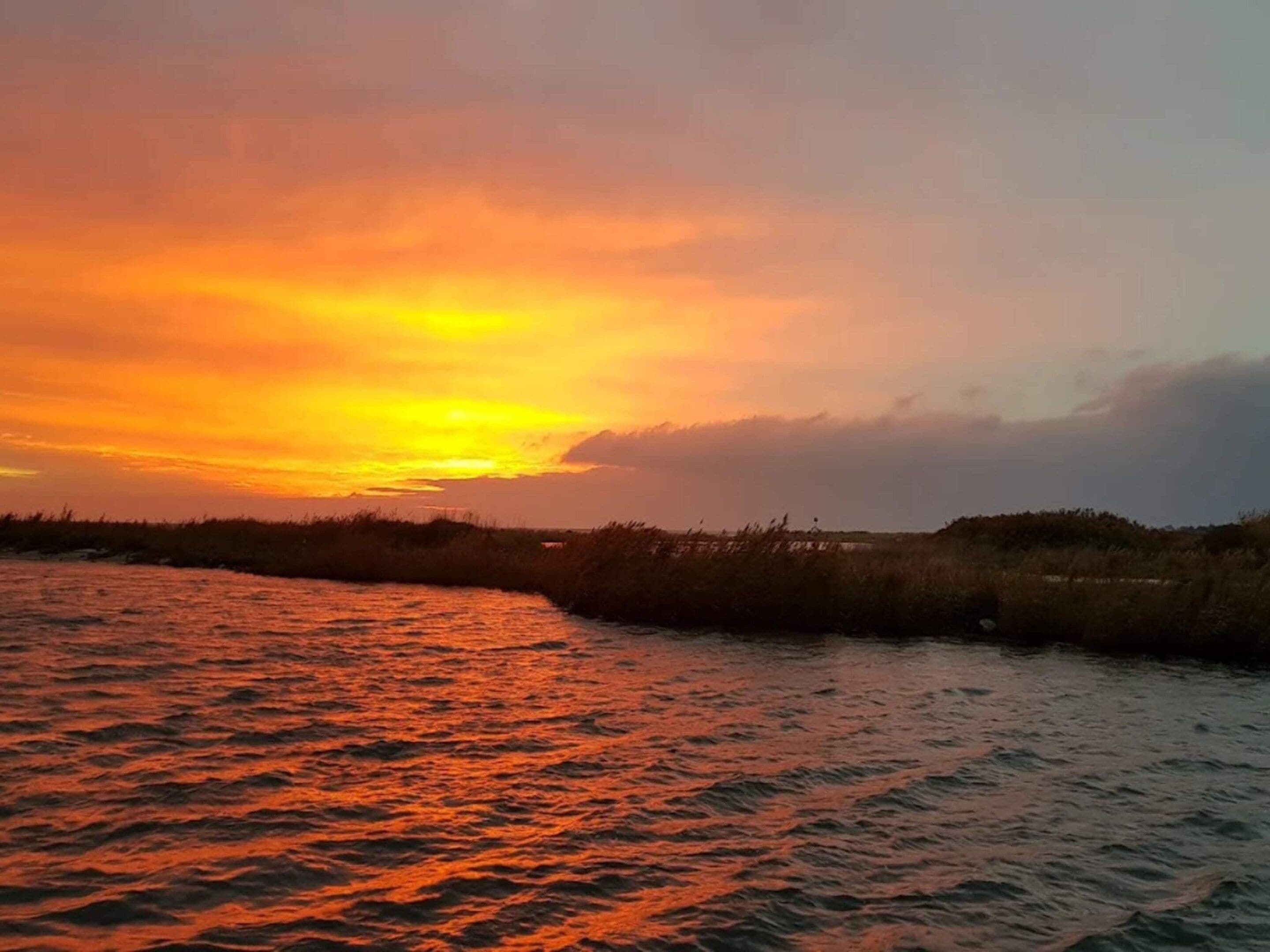 Ein Sonnenuntergang über einem Gewässer mit Vegetation am Ufer.