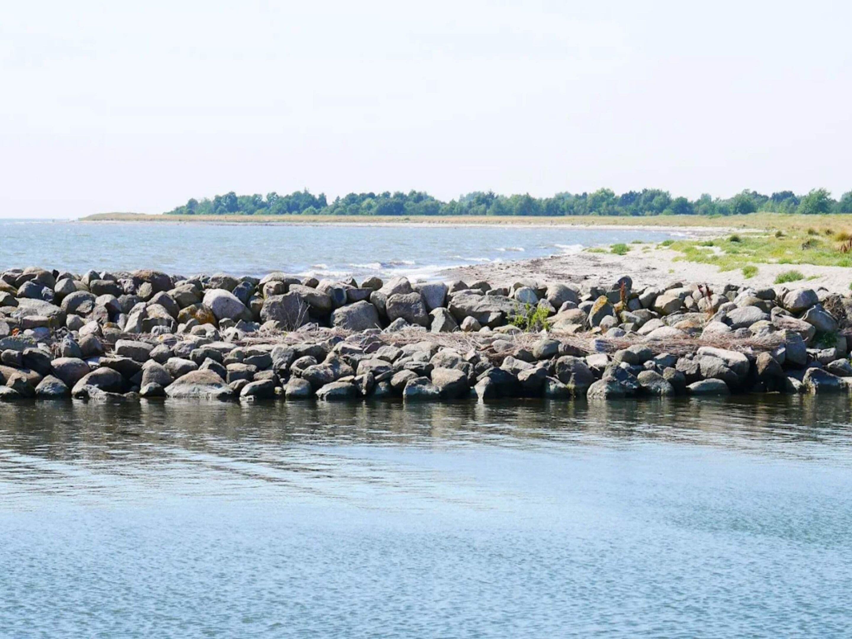 Quang cảnh mặt nước