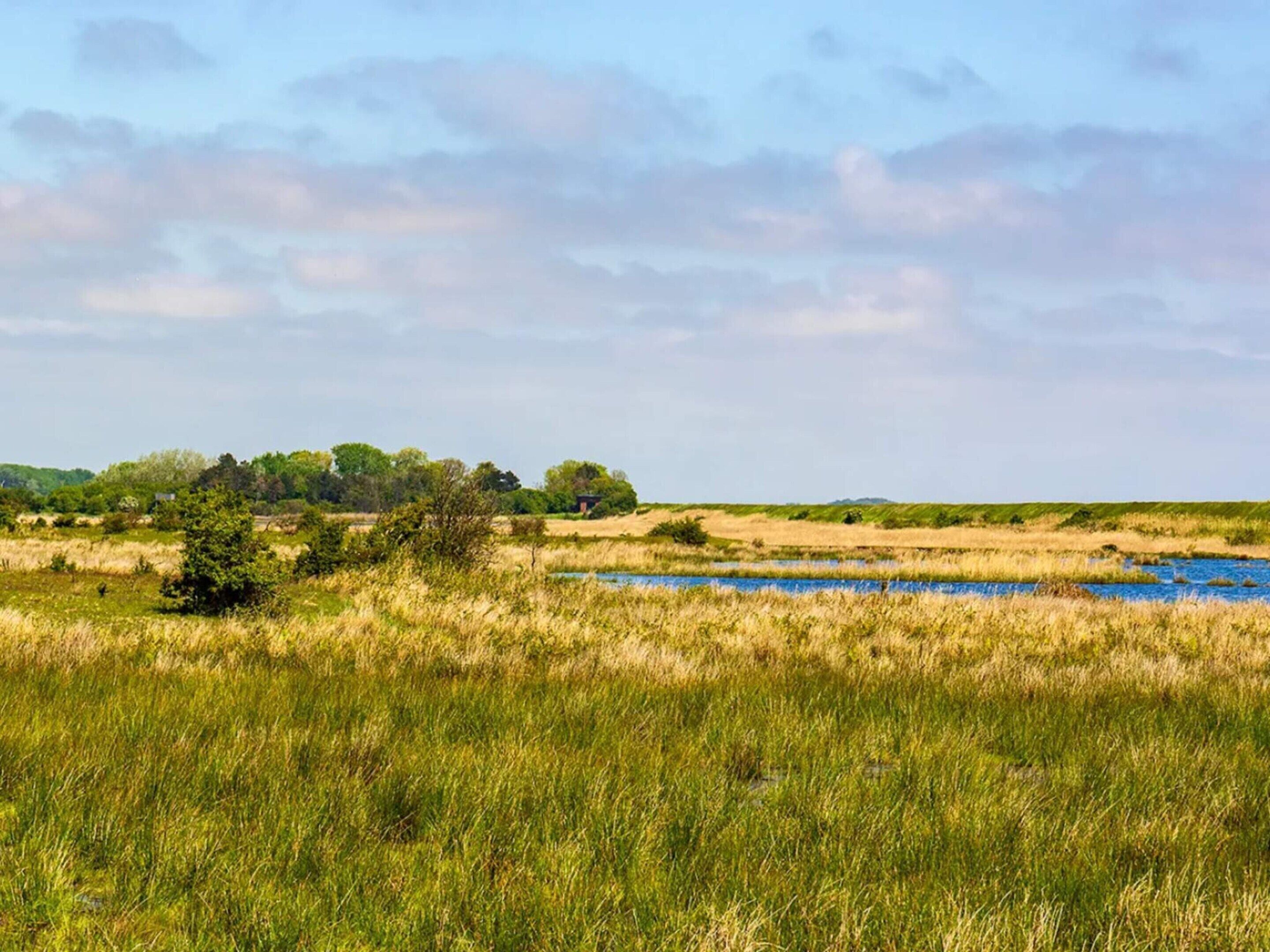 Een natuurlijk landschap met een rivier, grasvelden en bomen.