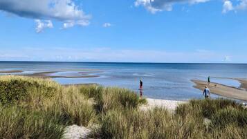 A beach with sand dunes, a clear sky, and a calm sea.