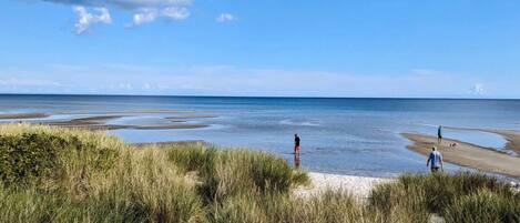 Une plage avec des dunes de sable, un ciel dégagé et une mer calme.