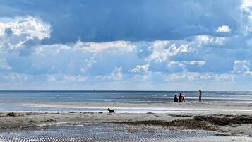 A beach with a sandy shore, a dog, and a few people in the distance.