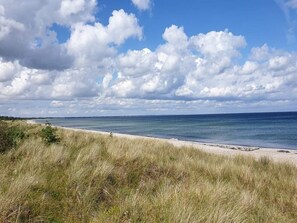 A beach with grassy dunes and a clear sky. - 6 Person Holiday Home in Hals (Hals)