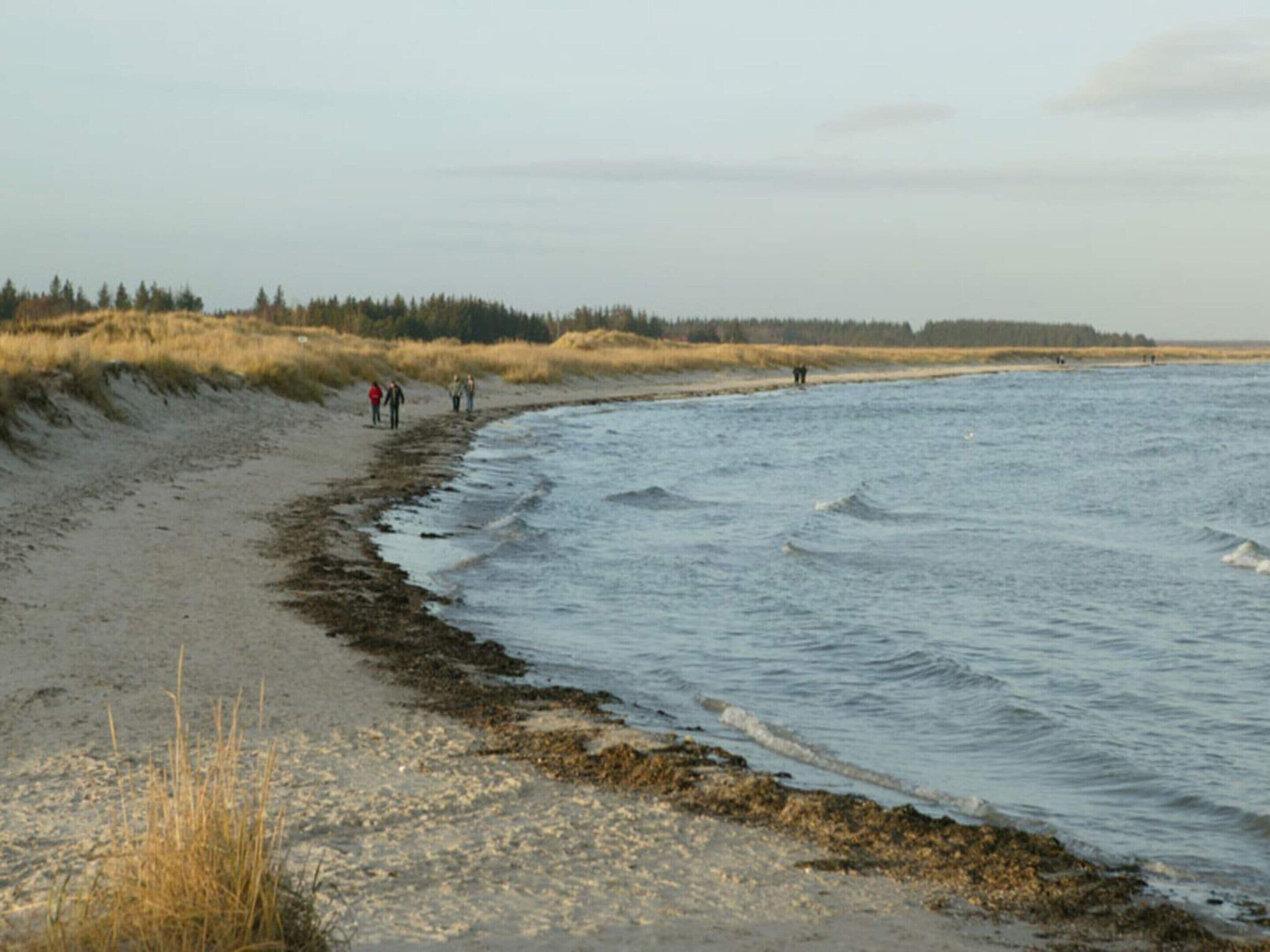 Una playa con arena, una duna cubierta de hierba y un mar tranquilo.