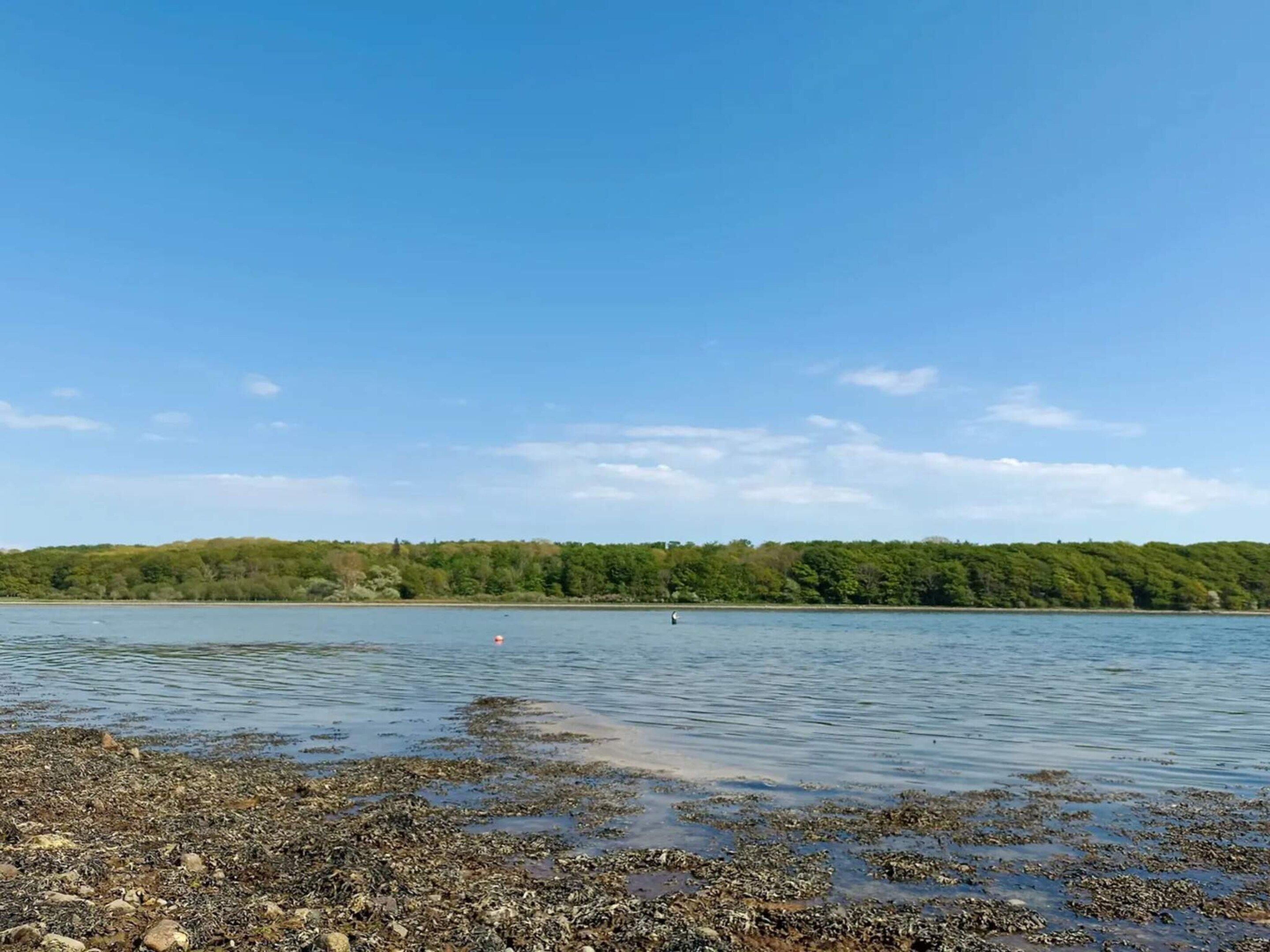Un lago tranquillo con una riva rocciosa e una collina boscosa sullo sfondo.