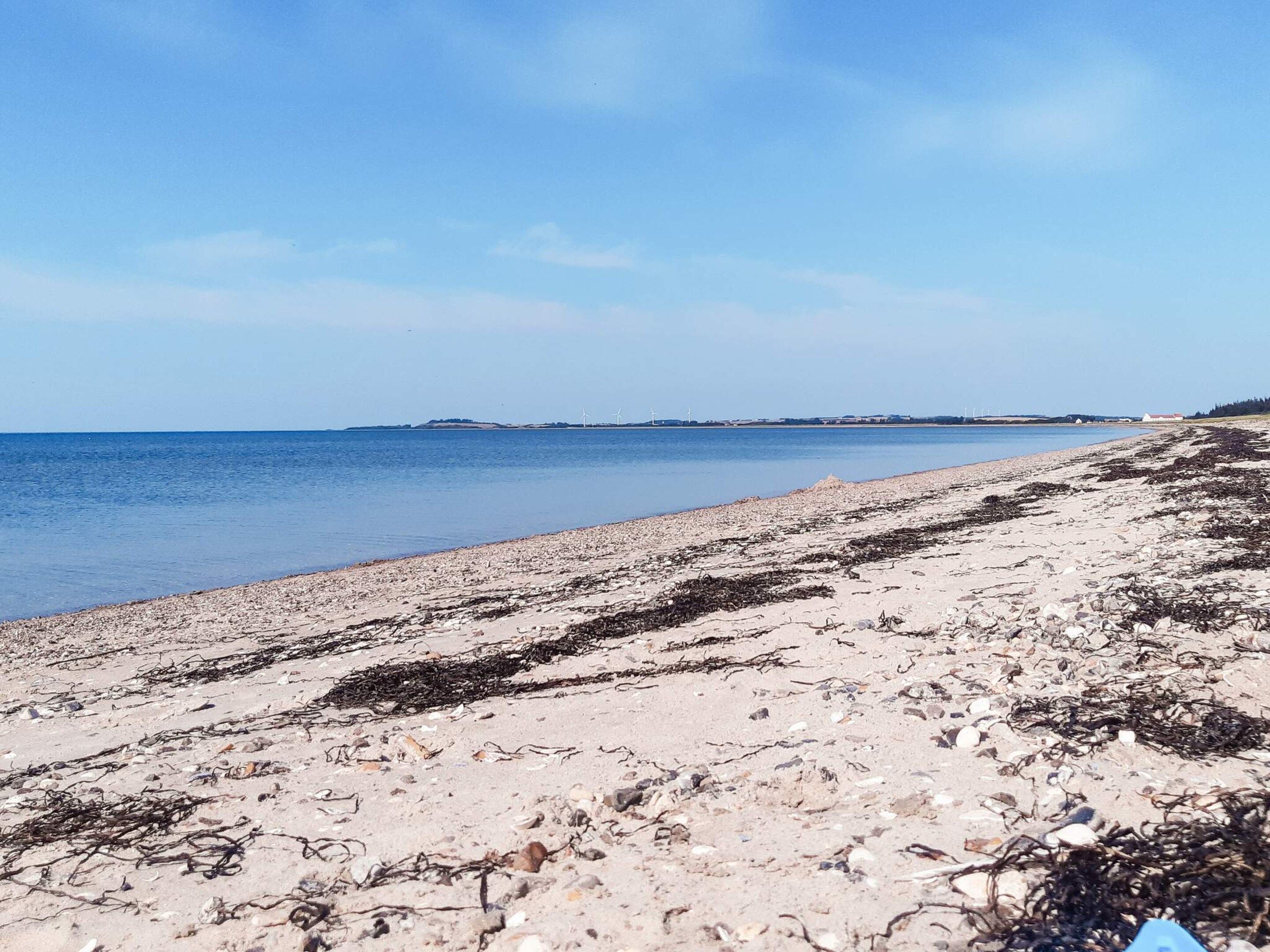 A beach with a clear sky, calm sea, and distant wind turbines.