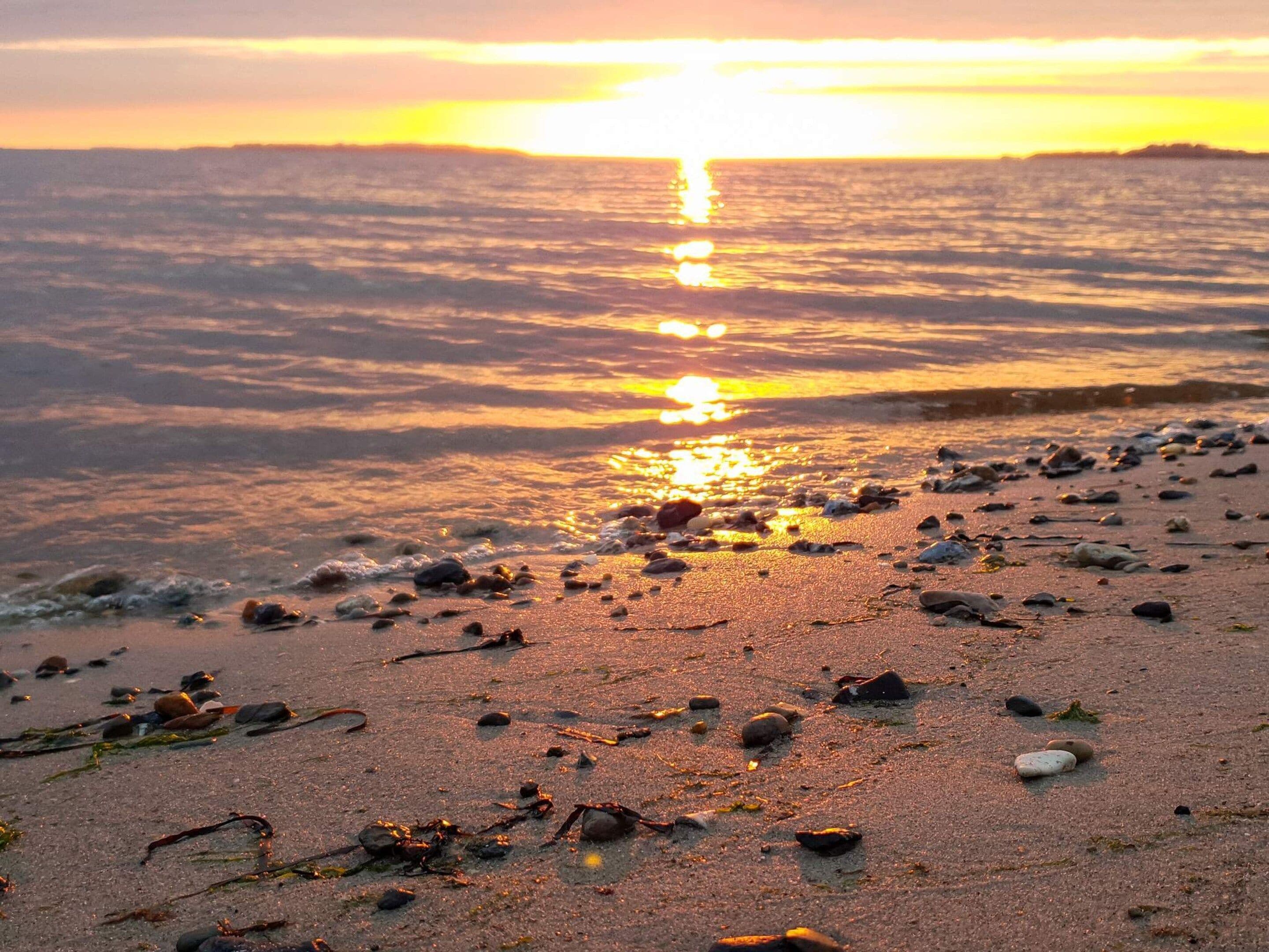 Une plage parsemée de rochers et d’algues, et le soleil se couchant sur l’eau.