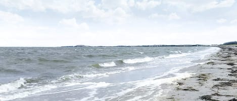 A beach with waves, seaweed, and a distant shoreline.