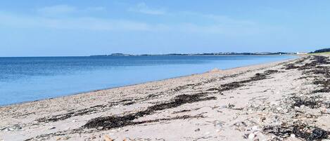 A beach with pebbles and seaweed, a clear sky, and distant wind turbines.