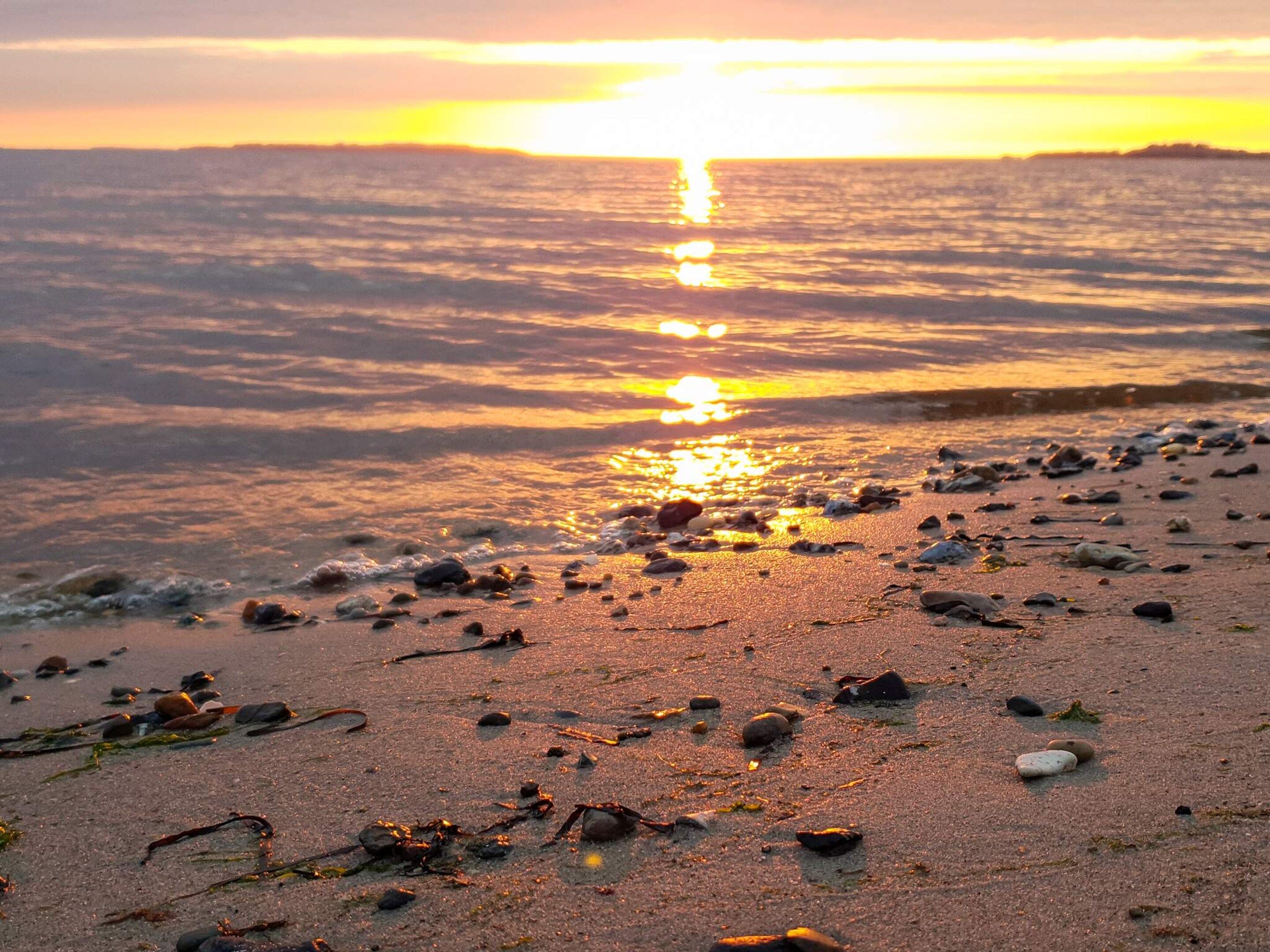 Una playa con rocas dispersas y algas marinas, con el sol reflejado en el agua.