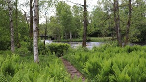 A forested area with a path leading to a body of water.