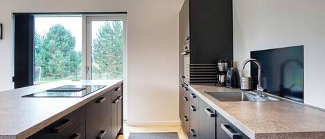House | Private kitchen