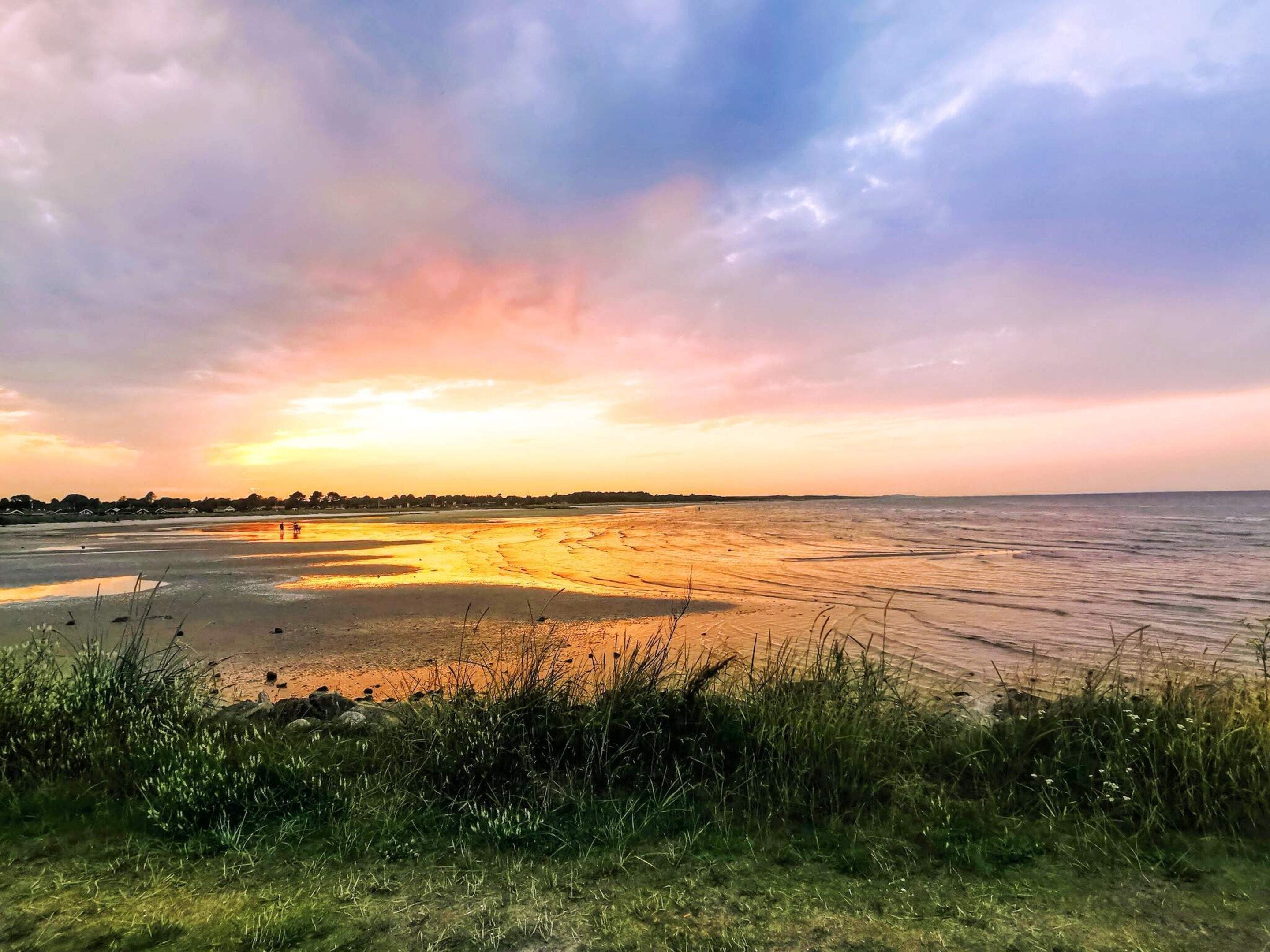 A coastal landscape with a sunset, grassy foreground, and a distant shoreline.