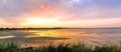 A coastal landscape with a sunset, grassy foreground, and a distant shoreline.