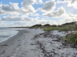 A beach with a sandy shore, seaweed, and a distant shoreline. - 5 Star Holiday Home in Vaeggerlose (Vaeggerlose)