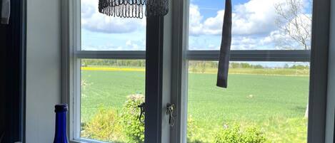 House | View from property