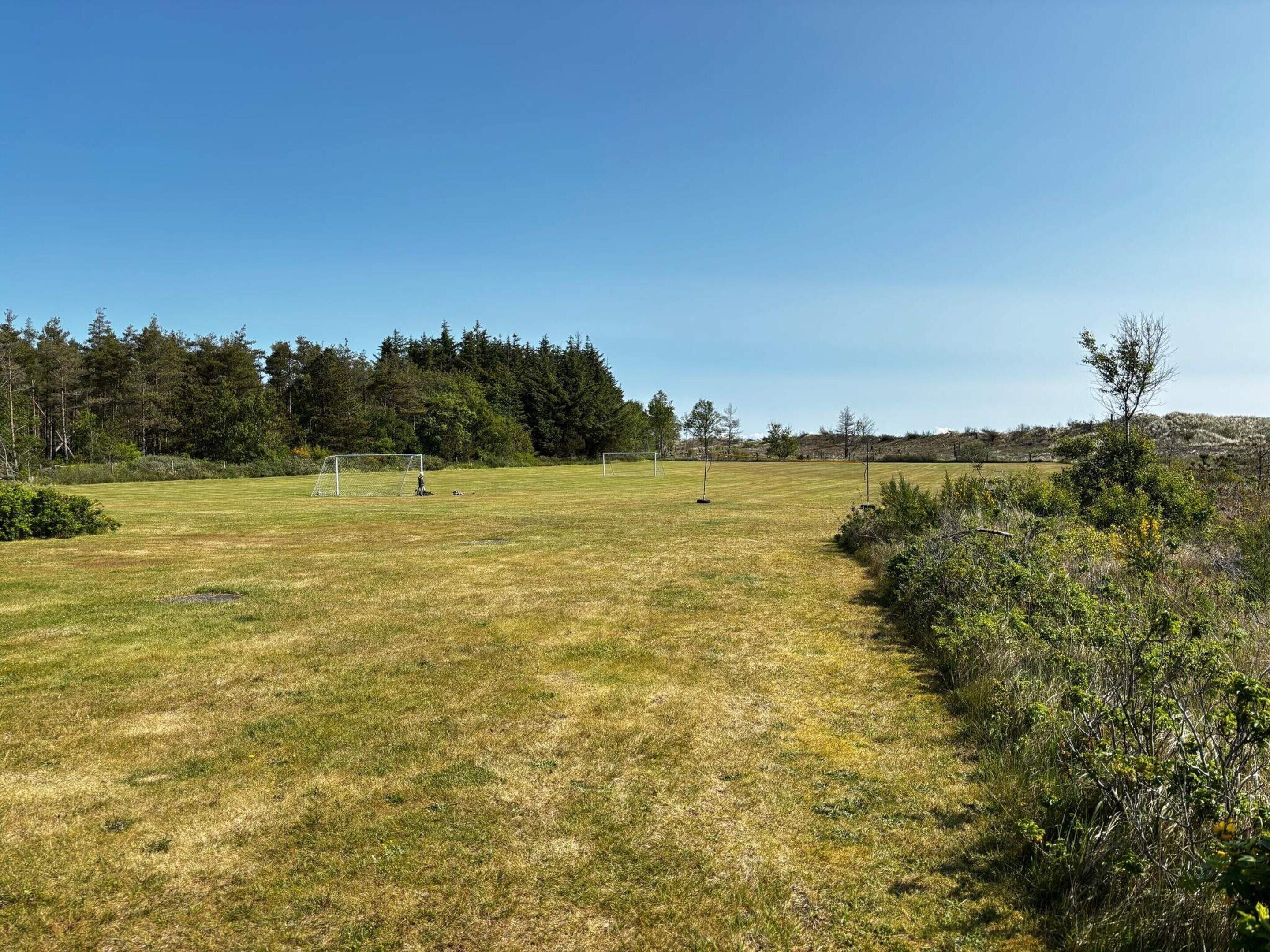 Een grasveld met twee voetbalkoelen en bomen op de achtergrond.