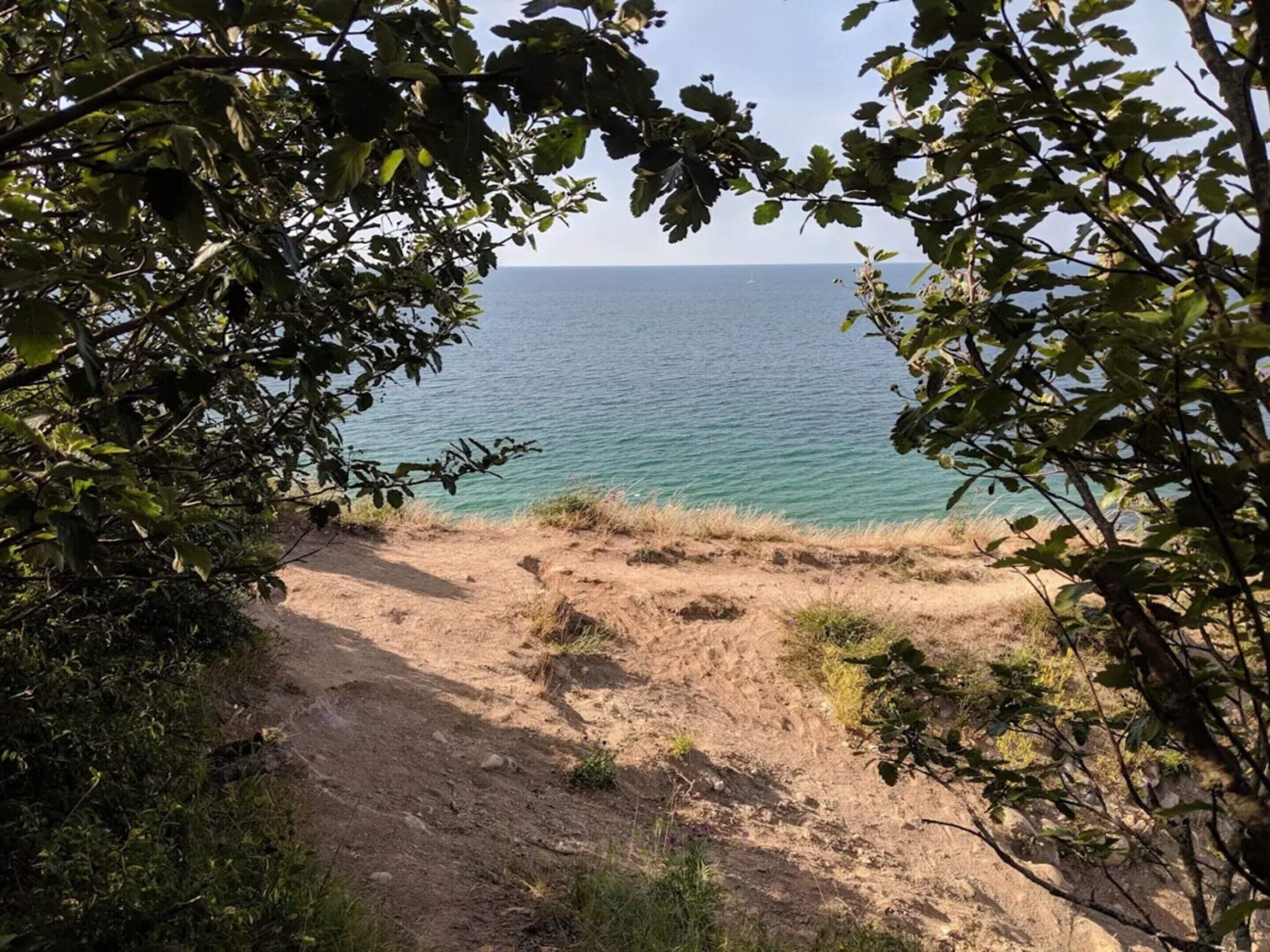 A coastal path leading to the sea, surrounded by dense foliage.