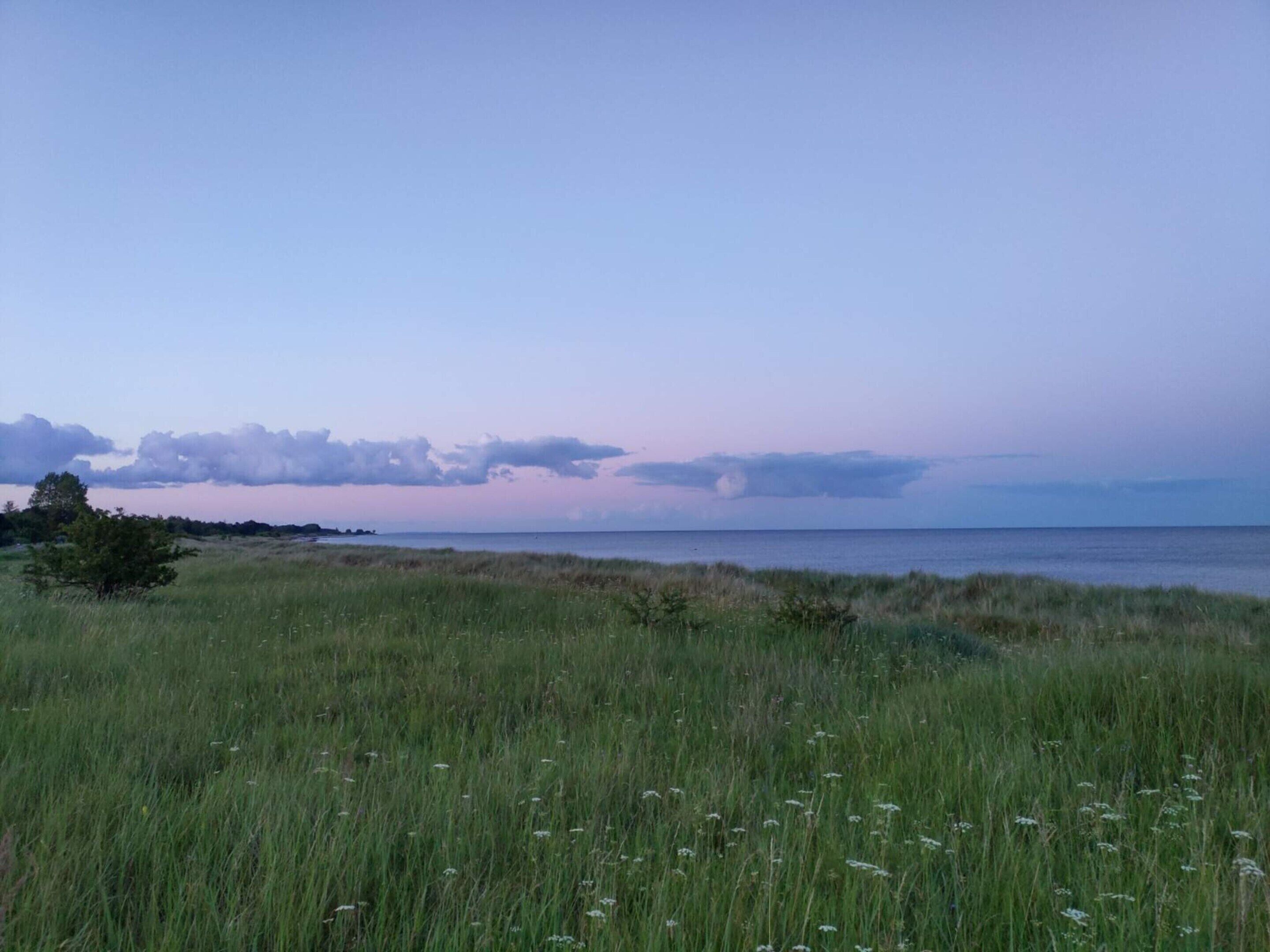 Un paysage côtier avec un premier plan herbeux et une vue sur la mer et le ciel.
