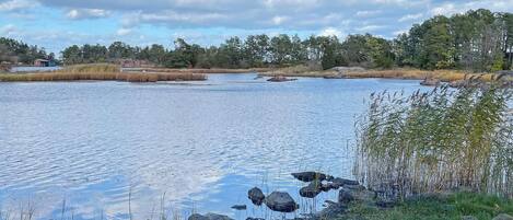 A calm lake with surrounding grassy areas and rocks.