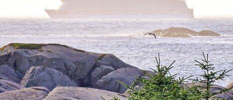 House | Beach | Fishing