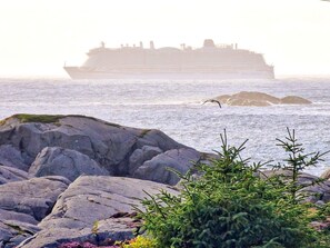 A cruise ship in the distance, rocky coastline, and some greenery in the foreground. - 4 Star Holiday Home in Skudeneshavn (Karmoy)