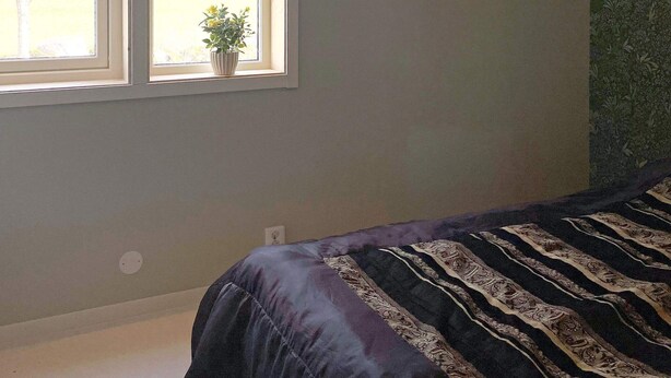 Une chambre avec une fenêtre, un lit recouvert d’une couvre-lit à motifs et un mur orné d’un motif texturé vert.