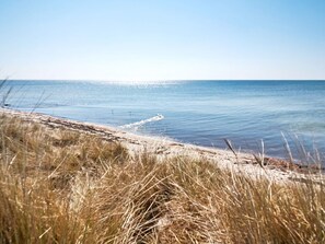 A beach with dry grass in the foreground and a clear view of the sea. - 6 Person Holiday Home in Aakirkeby (Akirkeby)