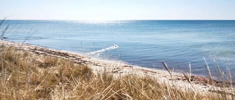 House | Beach