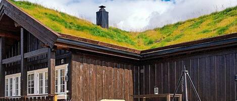 獨棟房屋 | 露台/庭院