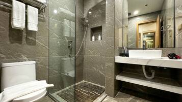 Regadera, secadora de cabello, bidet, toallas