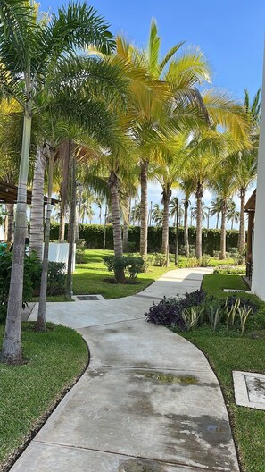 Overnattingsstedets uteområder