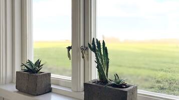 Two potted plants on a windowsill with a view of a grassy field.
